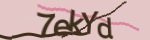 Enter the character string shown in the picture